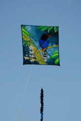 WhitleyBay2009-031