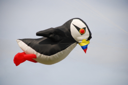 WhitleyBay2009-067