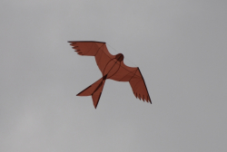 WhitleyBay2009-084