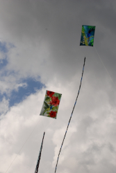 WhitleyBay2009-164