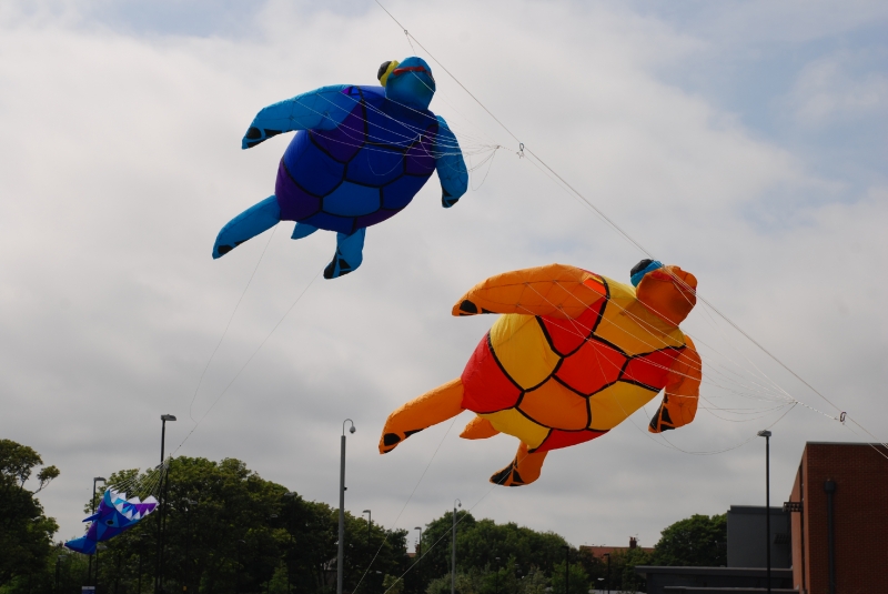 WhitleyBay2010-072