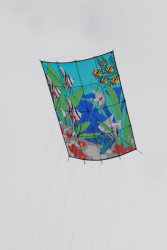 WhitleyBay2010-044