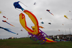 WhitleyBay2010-064