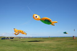 WhitleyBay2016-002