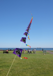WhitleyBay2016-004