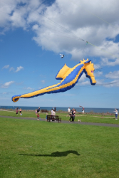 WhitleyBay2016-025