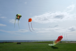 WhitleyBay2017-015
