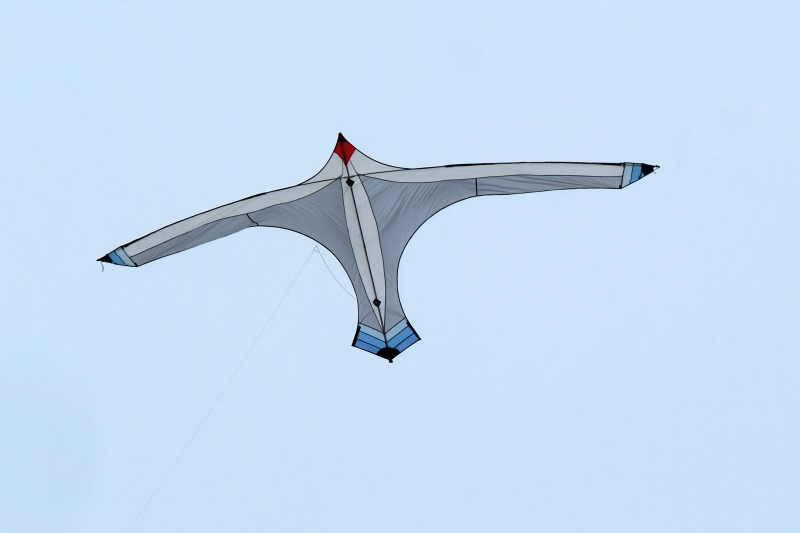 WhitleyBay2020-007