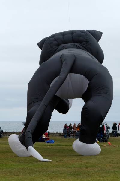 WhitleyBay2020-036