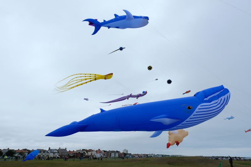 WhitleyBay2020-059