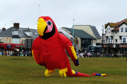 WhitleyBay2020-018