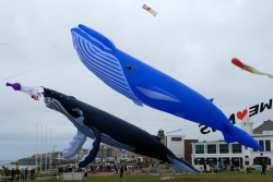 WhitleyBay2020-061