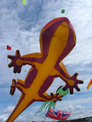 Wirral2004-007
