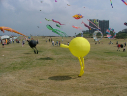 Wirral2005-021