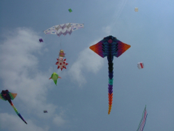 Wirral2005-022