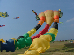 Wirral2005-065