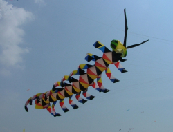 Wirral2005-067