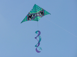 Wirral2005-072