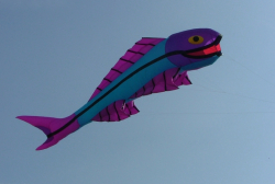 Wirral2005-076