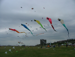 Wirral2006-008