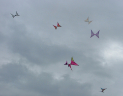 Wirral2006-021