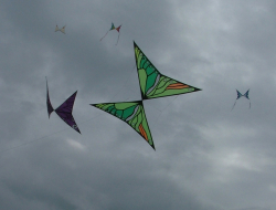 Wirral2006-022