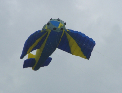 Wirral2006-027