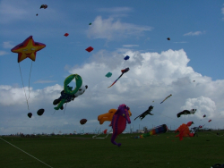Wirral2007-028