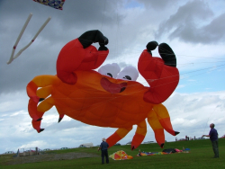 Wirral2007-034