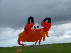Wirral2007-036