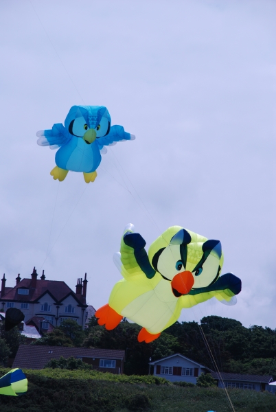 Wirral2008-003