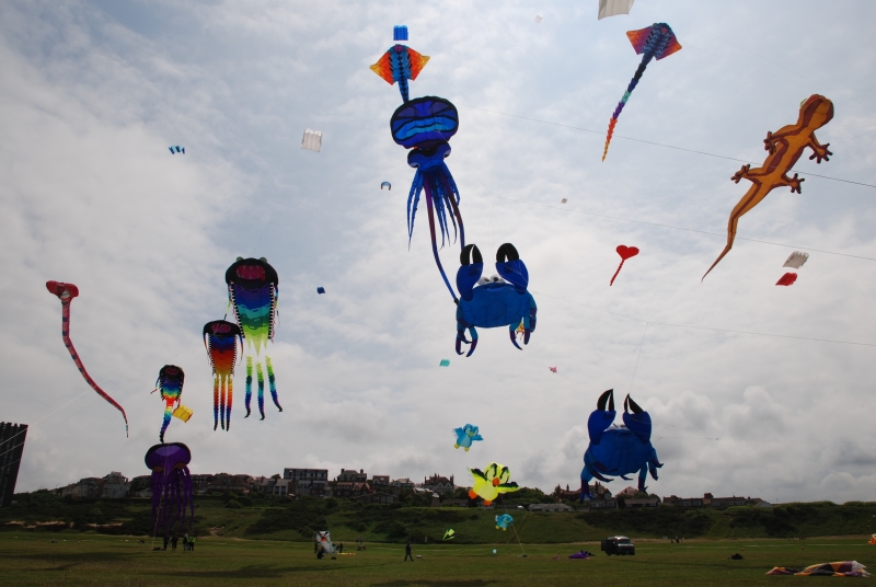 Wirral2008-004