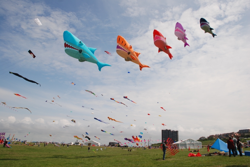 Wirral2008-013