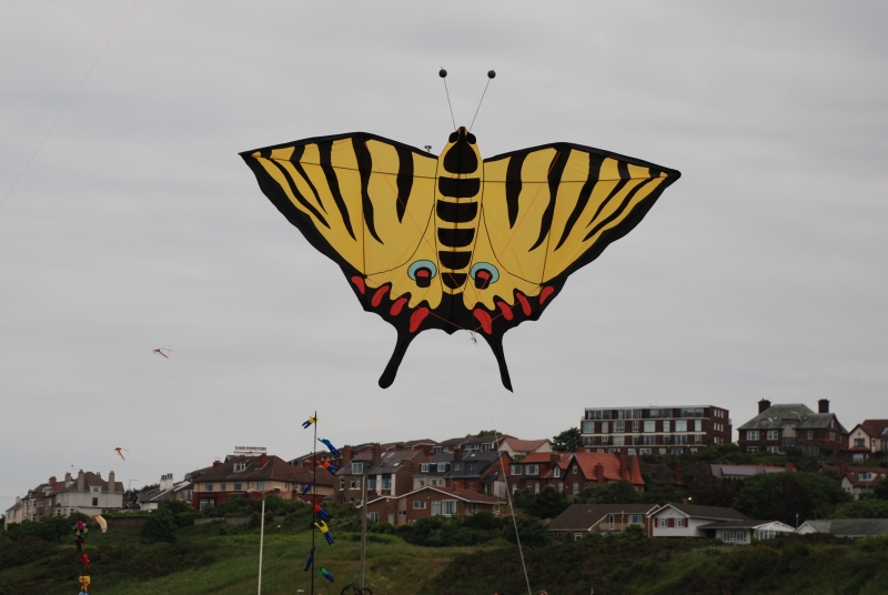 Wirral2008-031