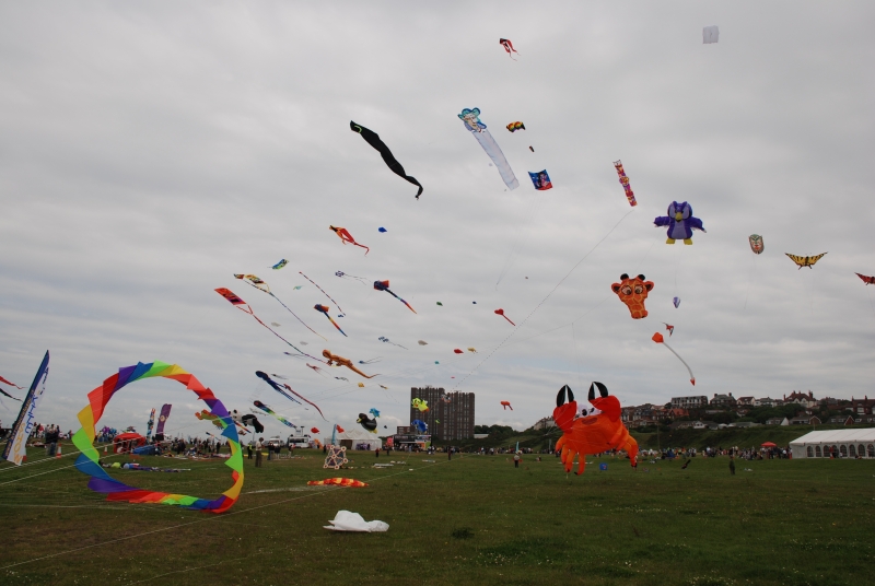 Wirral2008-034