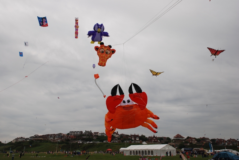 Wirral2008-040