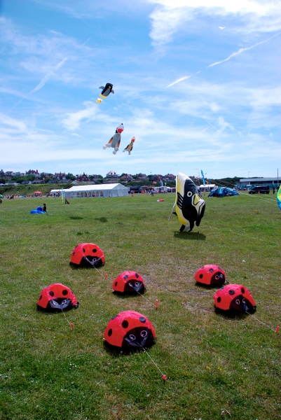 Wirral2008-059