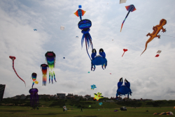 Wirral2008-004