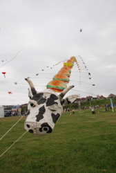 Wirral2008-036