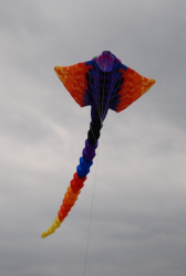 Wirral2008-043