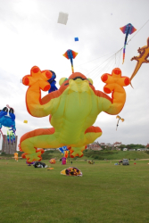 Wirral2008-054