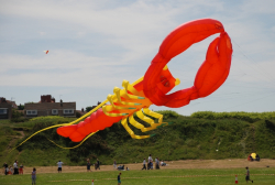 Wirral2008-079