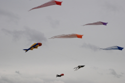Wirral2009-007