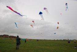 Wirral2009-011