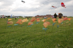 Wirral2009-077