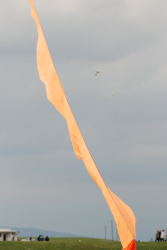Wirral2009-082