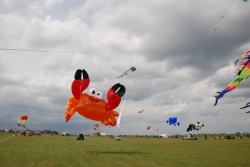 Wirral2009-092