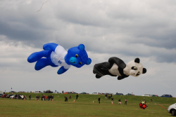 Wirral2009-096