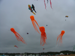 Woodvale2006-011