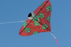 York 2006